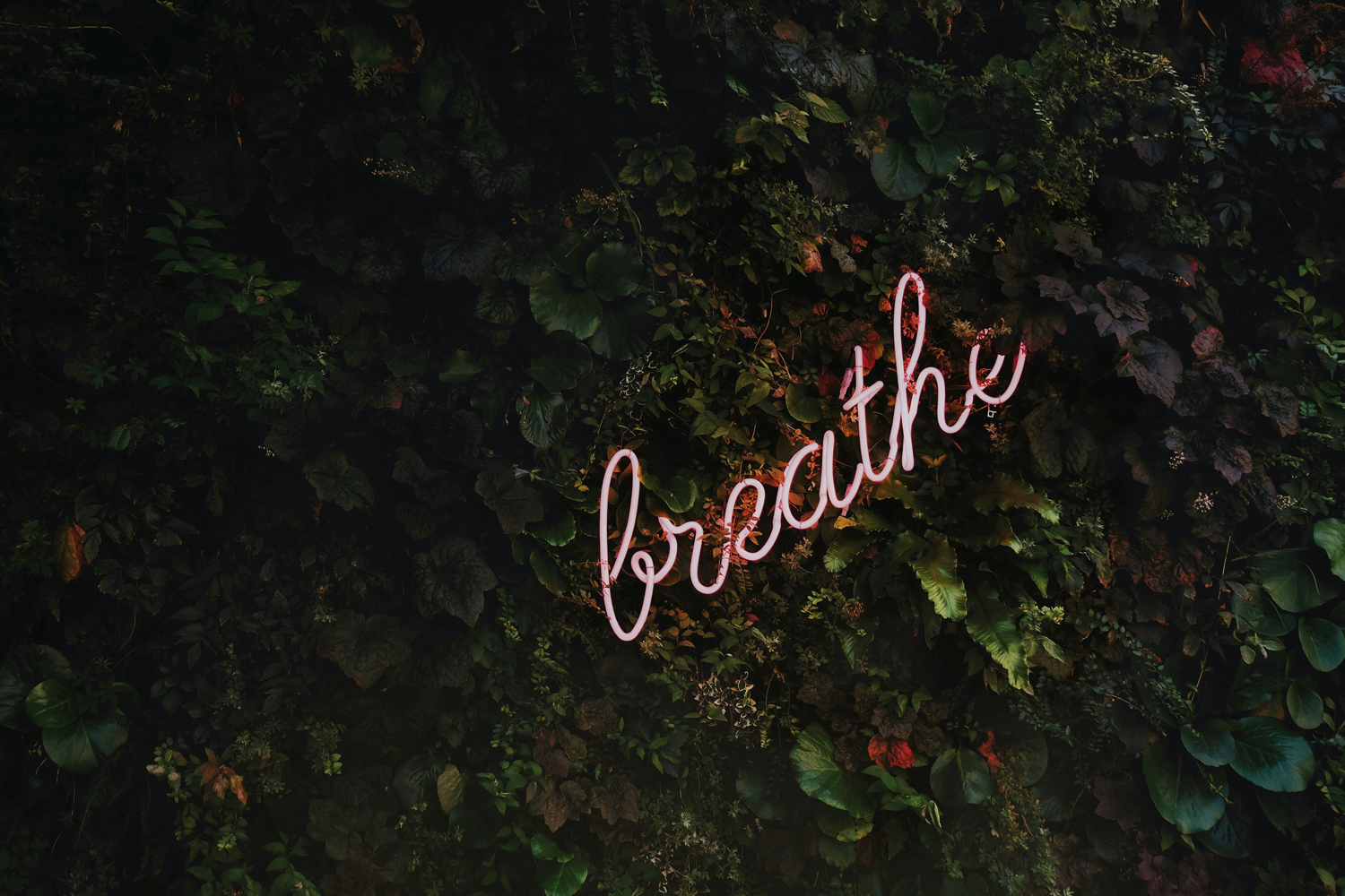 Breathing Exercises for Increased Calmness-and Mental Clarity